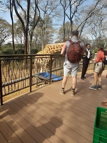 Orphelinat des éléphants, centre des girafes, perles de kobe excursion