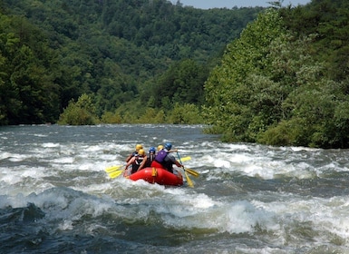 Pokhara: Seti Whitewater Guided Half Day Rafting Adventure