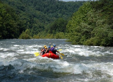 Pokhara: Seti Whitewater Guided Half Day Rafting Adventure