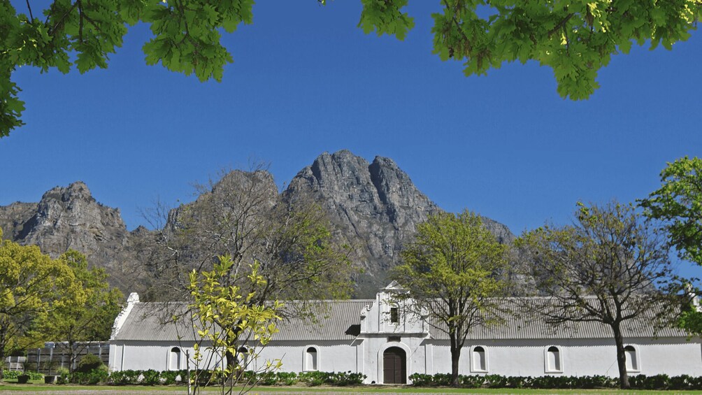 Picture 20 for Activity Cape Town Wine Tour (Paarl, Stellenbosch & Franschhoek)