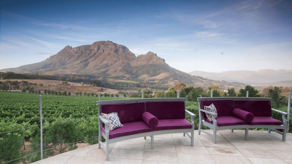 Picture 2 for Activity Cape Town Wine Tour (Paarl, Stellenbosch & Franschhoek)