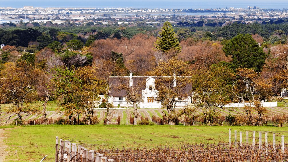 Picture 24 for Activity Cape Town Wine Tour (Paarl, Stellenbosch & Franschhoek)