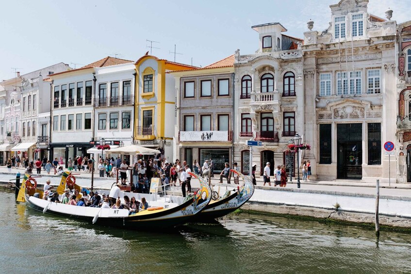 Picture 4 for Activity From Porto: Aveiro & Coimbra Private Day Tour & Boat Cruise