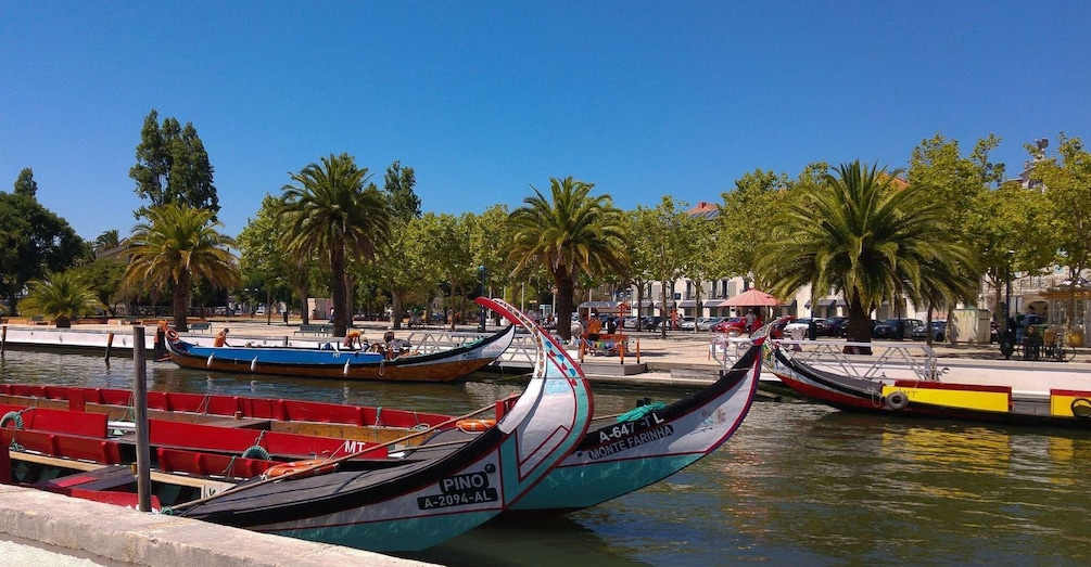 Picture 3 for Activity From Porto: Aveiro & Coimbra Private Day Tour & Boat Cruise