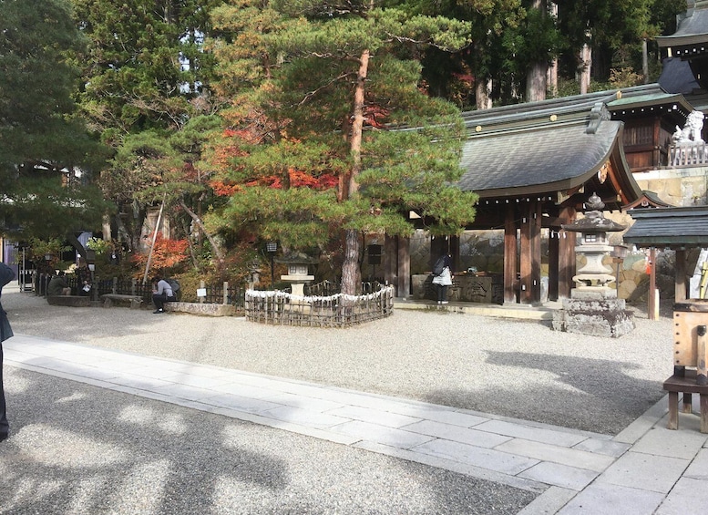 Picture 3 for Activity Walking Tour of Takayama