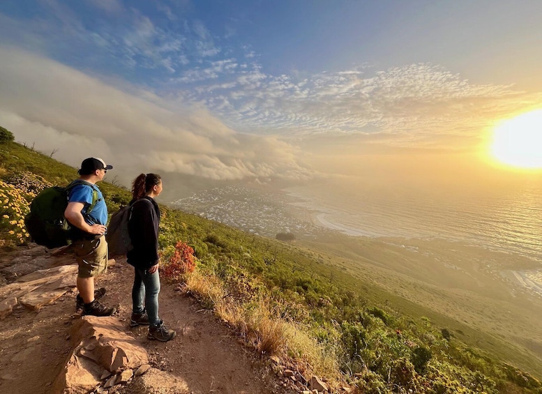 Picture 3 for Activity Be Insta-famous: Lion's Head Hike + Hotel Pick-Up