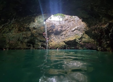 Mineral Spring, Herb Farm, Seven Mile Beach and Ricks Cafe