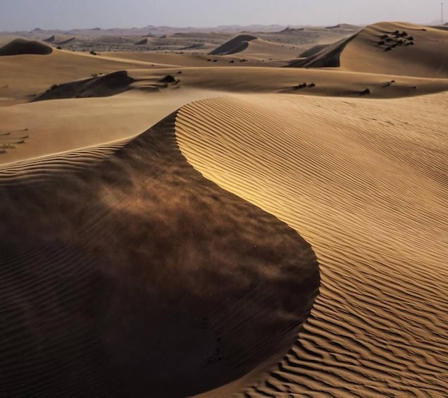 Picture 2 for Activity Doha: Inland Sea, Desert Safari, Camel Ride and Sandboarding