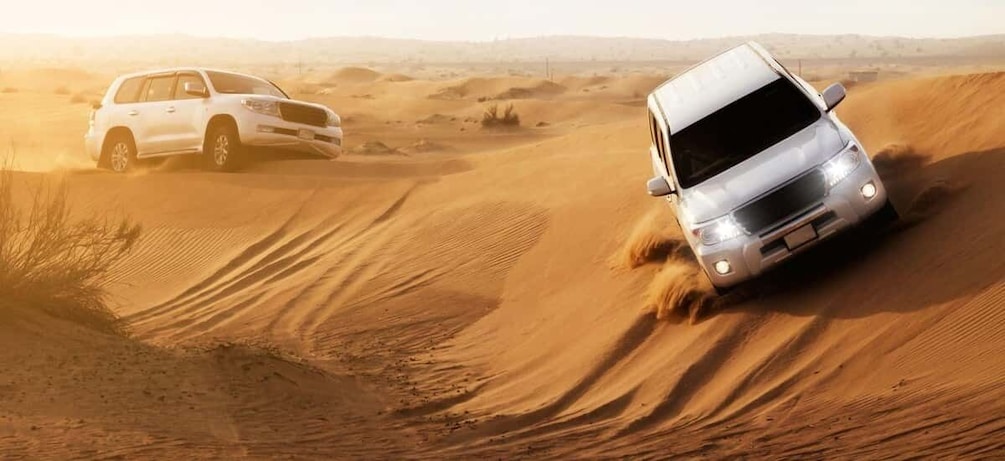 Picture 8 for Activity Doha: Desert Safari with Camel Ride and Sandboarding