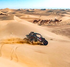 Doha: Ökensafari Ökensafari med kamelridning och sandboarding