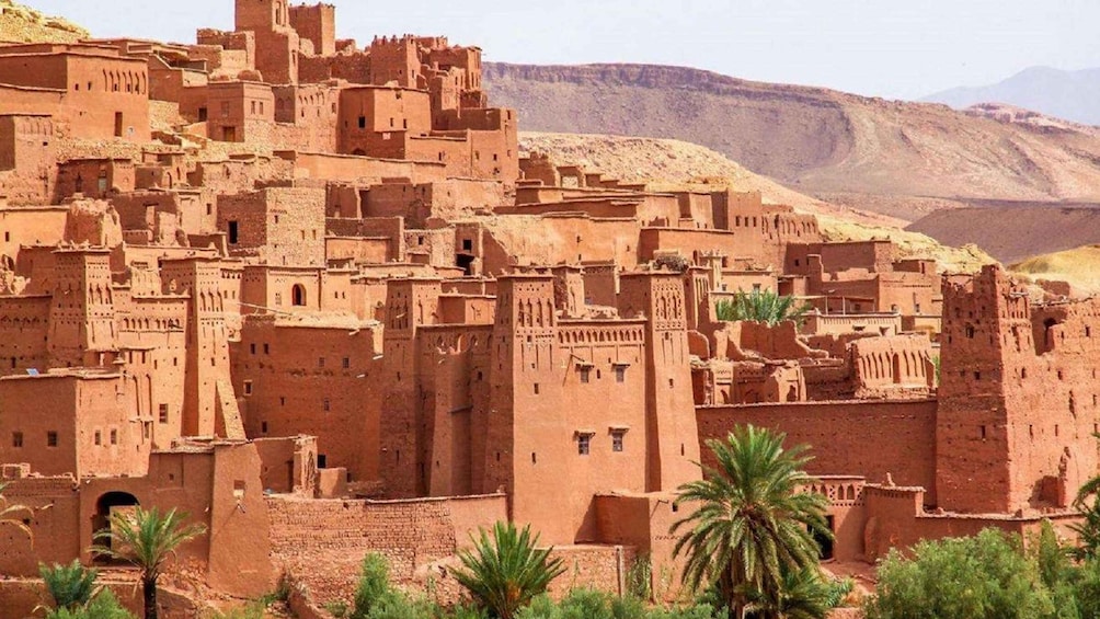 Picture 6 for Activity Private Full-Day Trip to Ouarzazat & Ait Ben Haddou