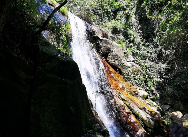 Picture 6 for Activity Ilha Grande: Private Hiking with Forest, Beaches & Waterfall