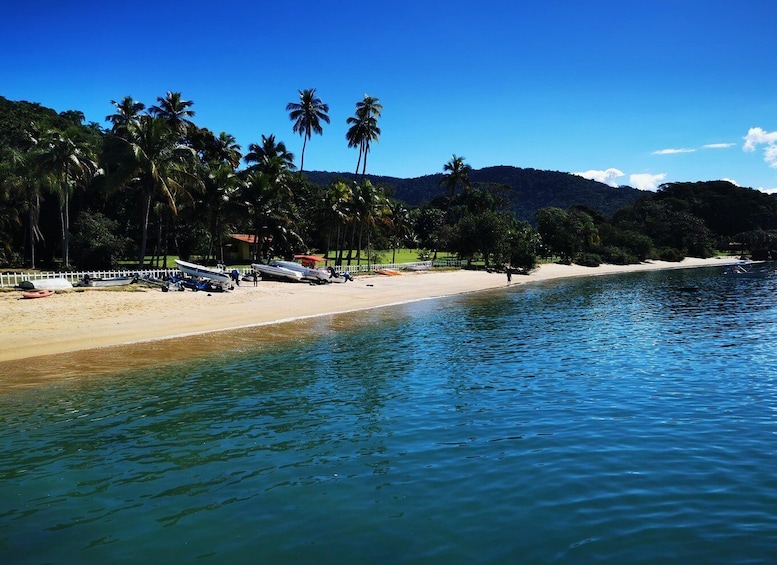 Picture 4 for Activity Ilha Grande: Private Hiking with Forest, Beaches & Waterfall