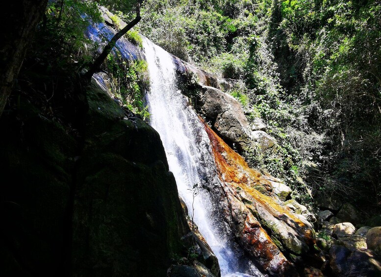 Picture 6 for Activity Ilha Grande: Private Hiking with Forest, Beaches & Waterfall