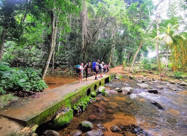 Ilha Grande: Private Hiking with Forest, Beaches & Waterfall