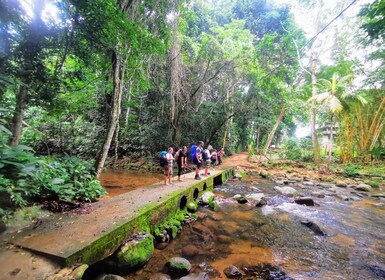 Ilha Grande: Private Hiking with Forest, Beaches & Waterfall