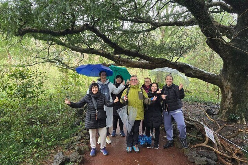 Jeju Private Half-Day Tour for Cruise Customers