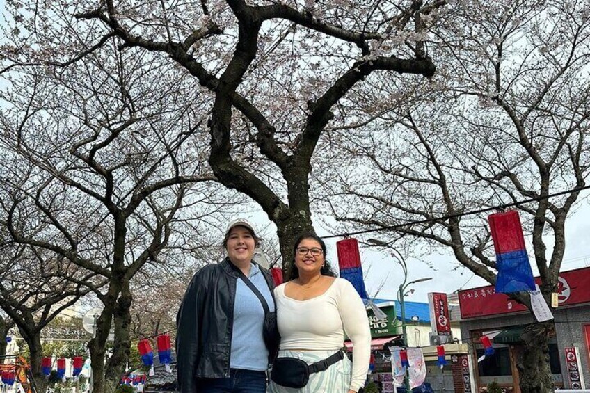 Jeju Private Half-Day Tour for Cruise Customers