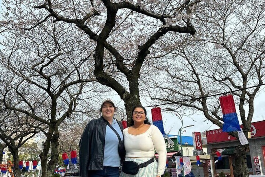 Jeju Private Half-Day Tour for Cruise Customers
