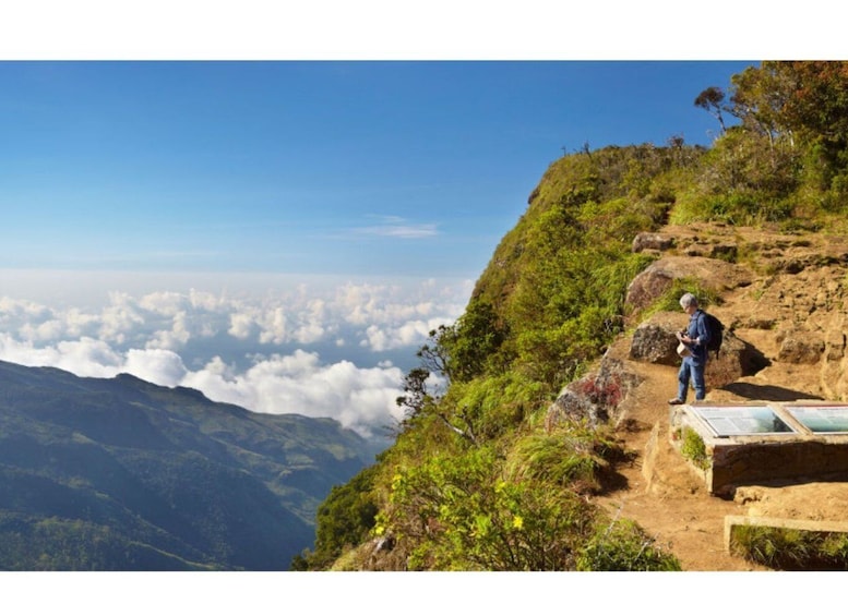 Picture 4 for Activity From Nuwara Eliya: Horton Plains Trekking & Tea Factory tour