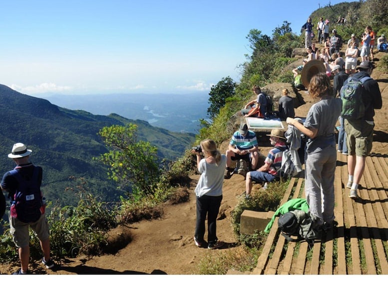 Picture 1 for Activity From Nuwara Eliya: Horton Plains Trekking & Tea Factory tour