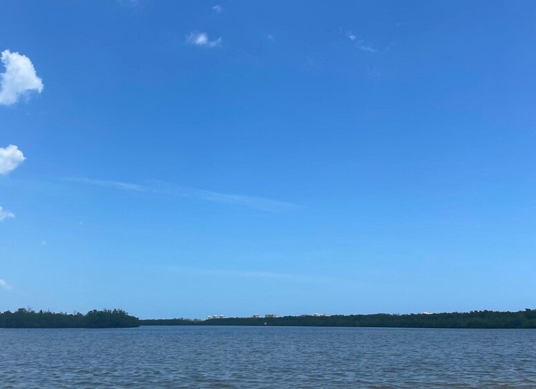 Picture 19 for Activity Fort Pierce: 4-hr Mangroves & Dolphin Watch Sandbar in FL