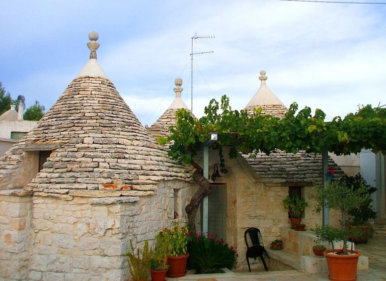 Picture 6 for Activity From Lecce: Alberobello trulli private day tour