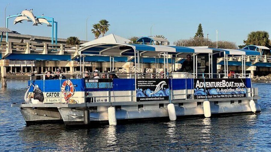 Adventure Boat Tours - One Hour Dolphin/Eco/History/Sightseeing Boat Tour