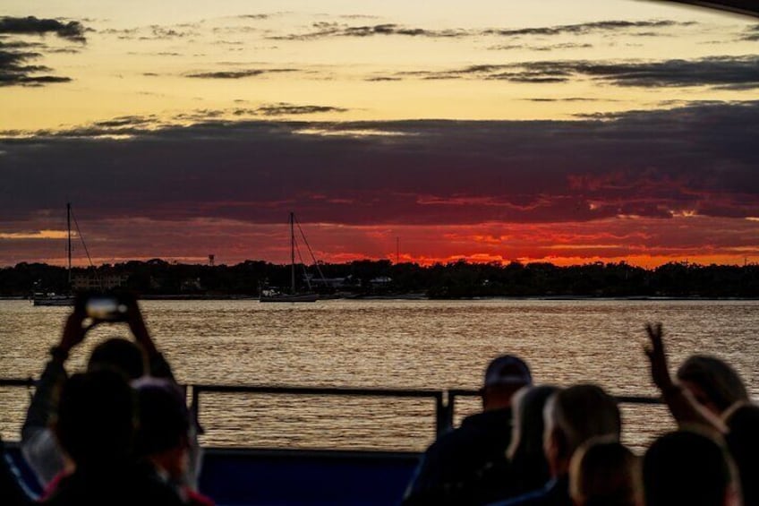 One Hour Dolphin/Eco/History/Sightseeing Boat Tour