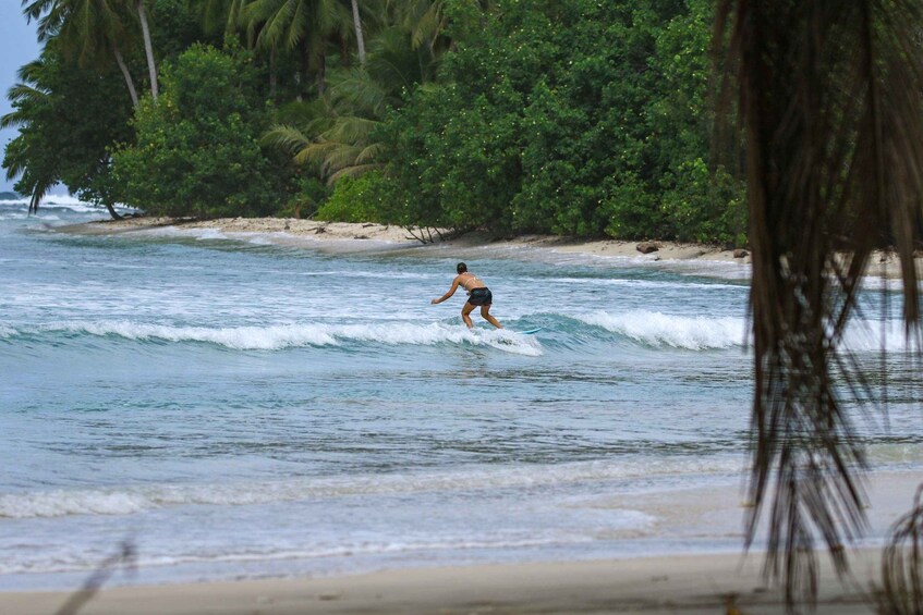 Picture 3 for Activity Surfing in San Juan del Sur: Surf Lessons in Nicaragua