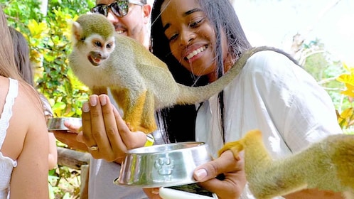 Monkeyland tour + Transport from cruise/hotel