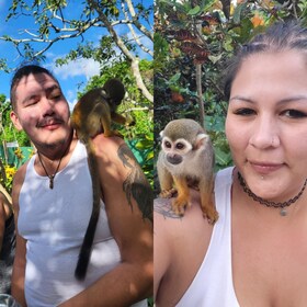 Monkeyland tour + Transportation from cruise/hotel