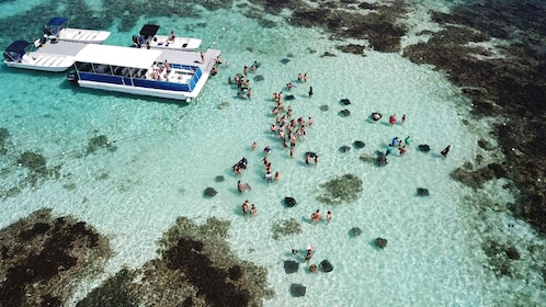 Snorkelling activity in Stingray City Antigua - Transfer INC.