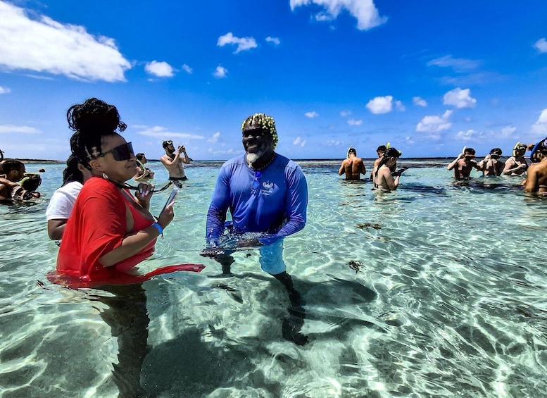 Antigua: Stingray City Experience with Round-Trip Transfer
