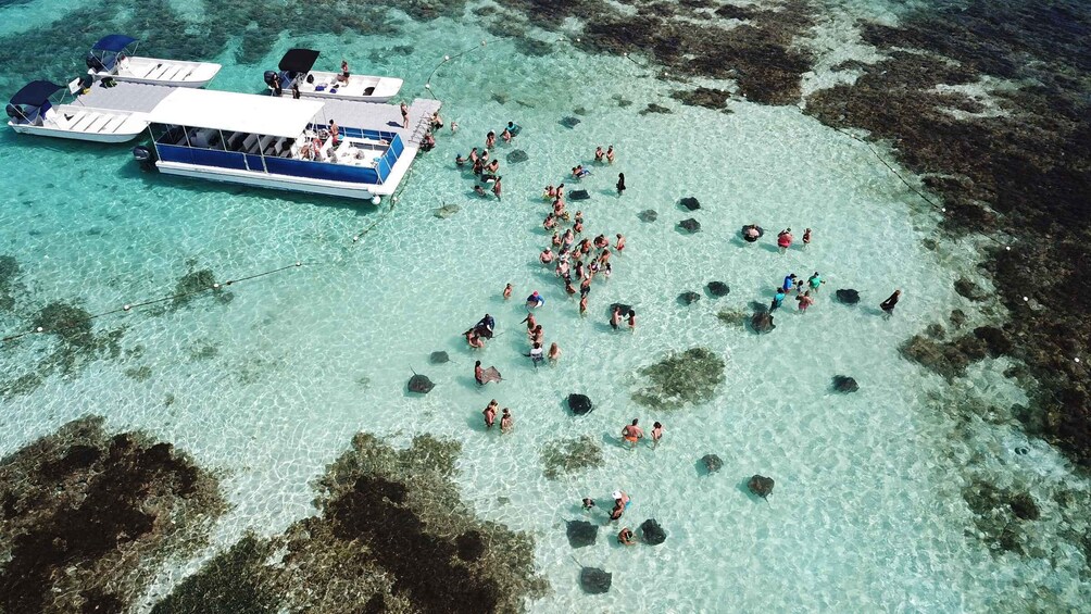 Snorkeling activity in Stingray City Antigua - Transfer INC.