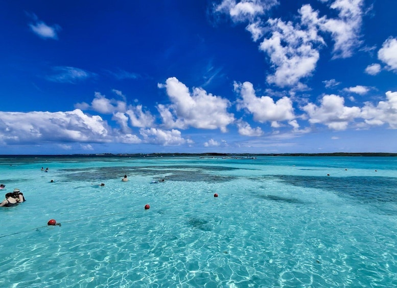 Picture 2 for Activity Antigua: Stingray City Experience with Round-Trip Transfer