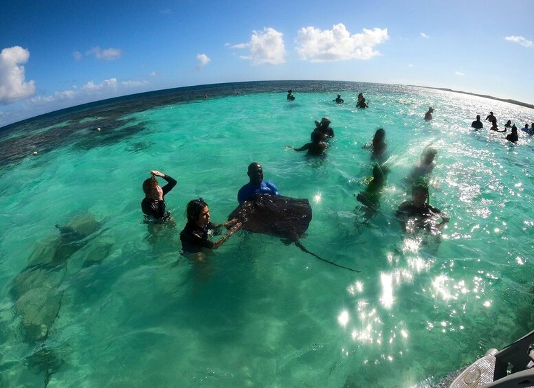 Picture 7 for Activity Snorkeling activity in Stingray City Antigua - Transfer INC.