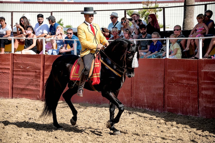 Picture 9 for Activity Fuengirola: Spanish Horse Show with Optional Dinner/Flamenco