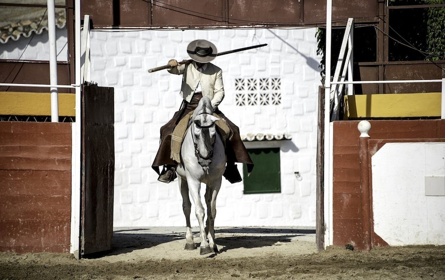 Picture 2 for Activity Fuengirola: Spanish Horse Show, Dinner and/or Flamenco Show