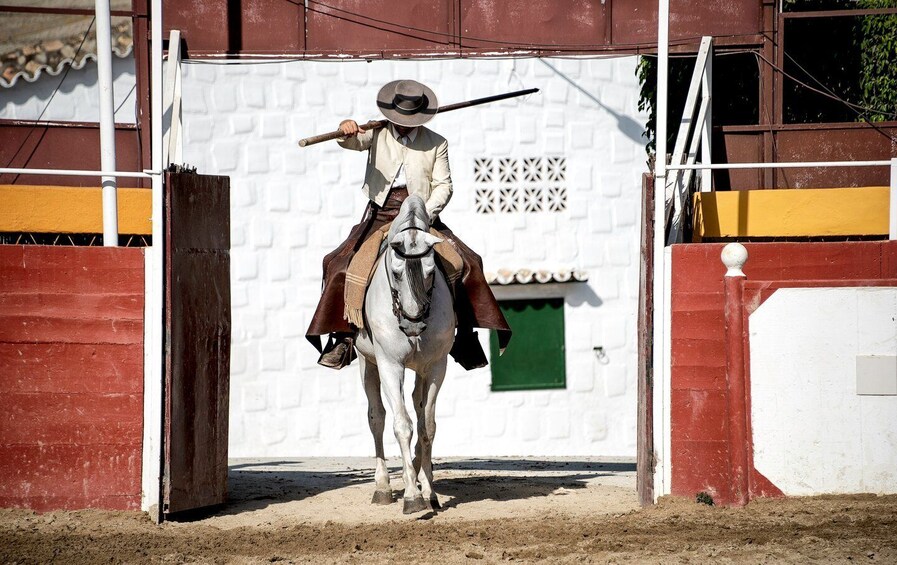 Picture 2 for Activity Fuengirola: Spanish Horse Show with Optional Dinner/Flamenco