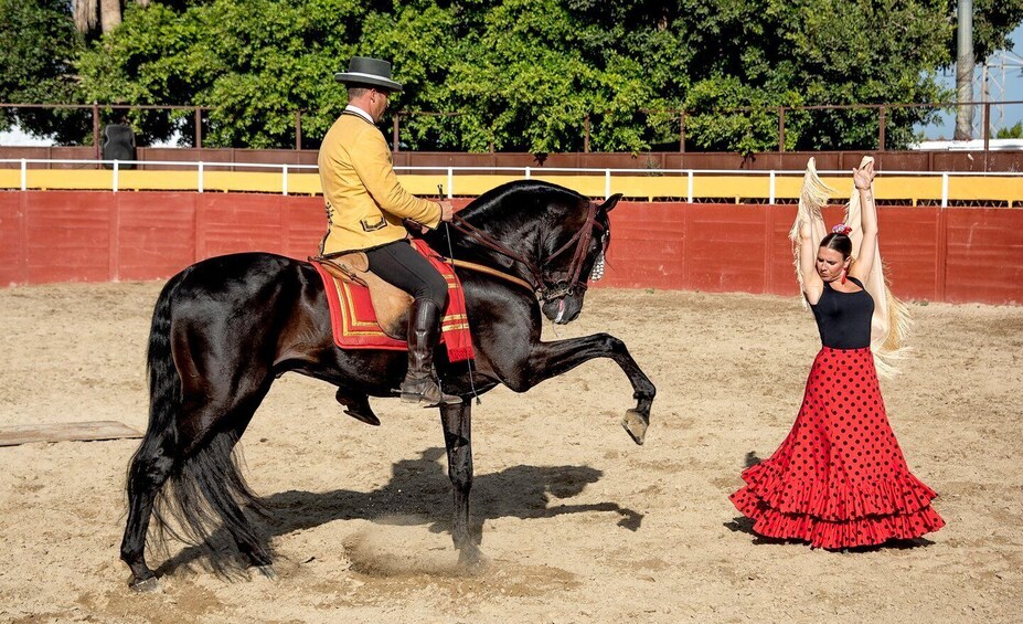 Fuengirola: Spanish Horse Show with Optional Dinner/Flamenco