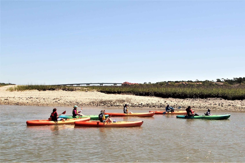 Picture 3 for Activity Hilton Head Island: Guided Kayak Tour with Coffee