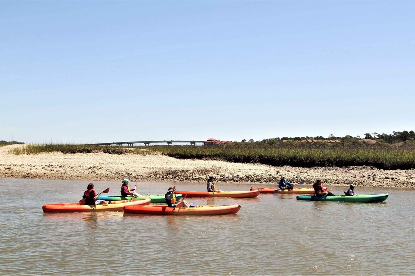 Picture 3 for Activity Hilton Head Island: Guided Kayak Tour with Coffee