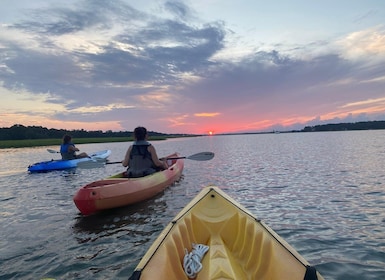 Hilton Head Island : Visite guidée en kayak avec café