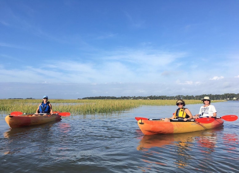 Picture 3 for Activity Hilton Head Island: Guided Kayak Tour with Coffee