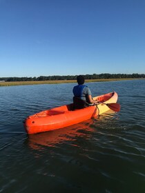 Isla Hilton Head: recorrido guiado en kayak con café