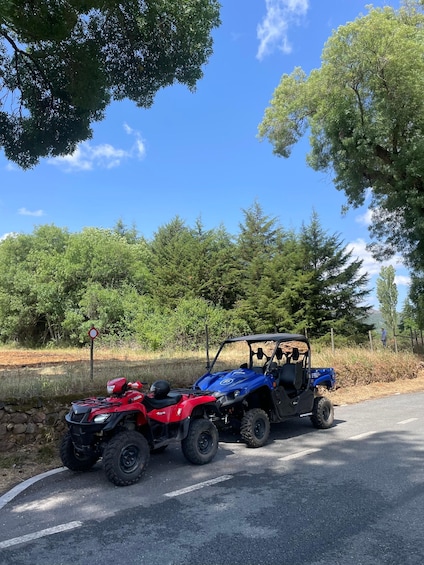 Picture 9 for Activity Marvão: Buggy & Quad Tours