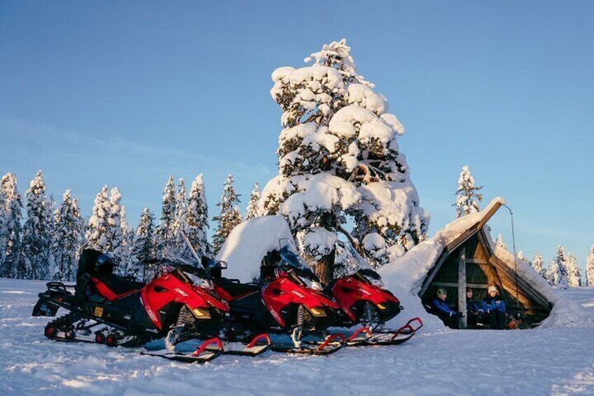 Reindeer Safari with Snowmobile and Cross The Arctic Circle Tour from Rovaniemi