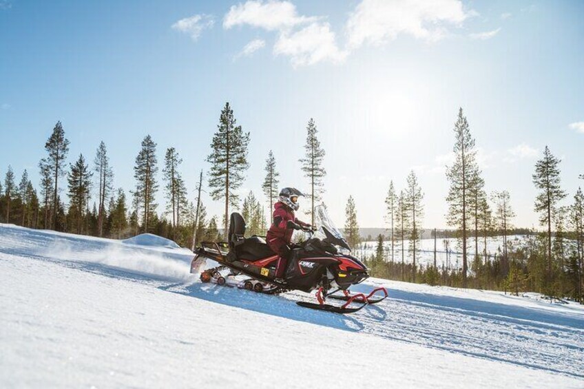 Reindeer Safari with Snowmobile and Cross The Arctic Circle Tour from Rovaniemi