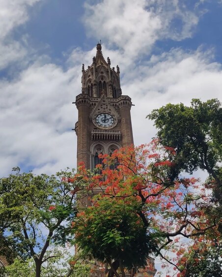 Picture 2 for Activity Mumbai: Explore Hidden Gems of Mumbai Heritage & Dhobi Ghat.